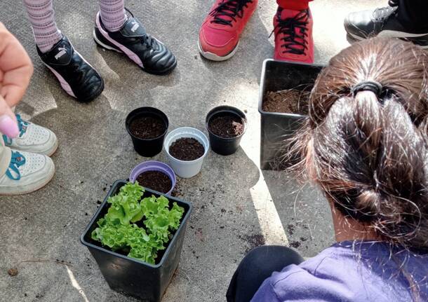 La scuola primaria di Somma diventa più green