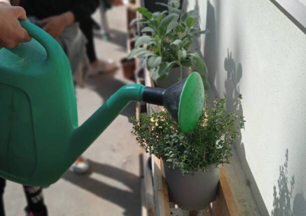 La scuola primaria di Somma diventa più green