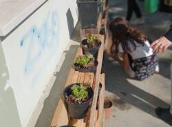 La scuola primaria di Somma diventa più green