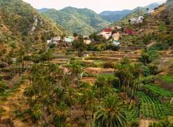 le Isole Canarie