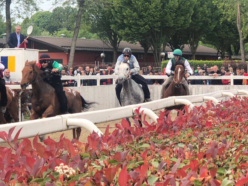 Palio Legnano, corse addestramento 30 aprile 2023