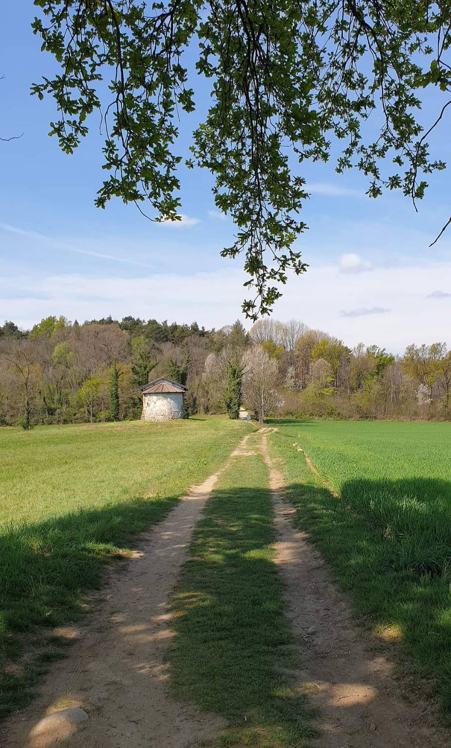 Pasqua e Pasquetta in valle Olona 