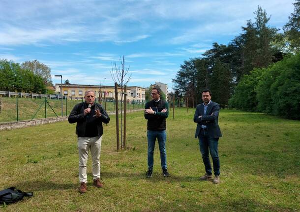 Rigenerazione del parco Castello di Legnano 