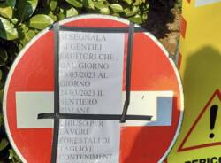 Taglio alberi Luvinate