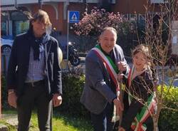 un melograno per la maestra milena