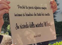 un melograno per la maestra milena