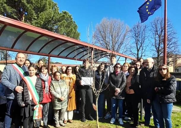 un melograno per la maestra milena