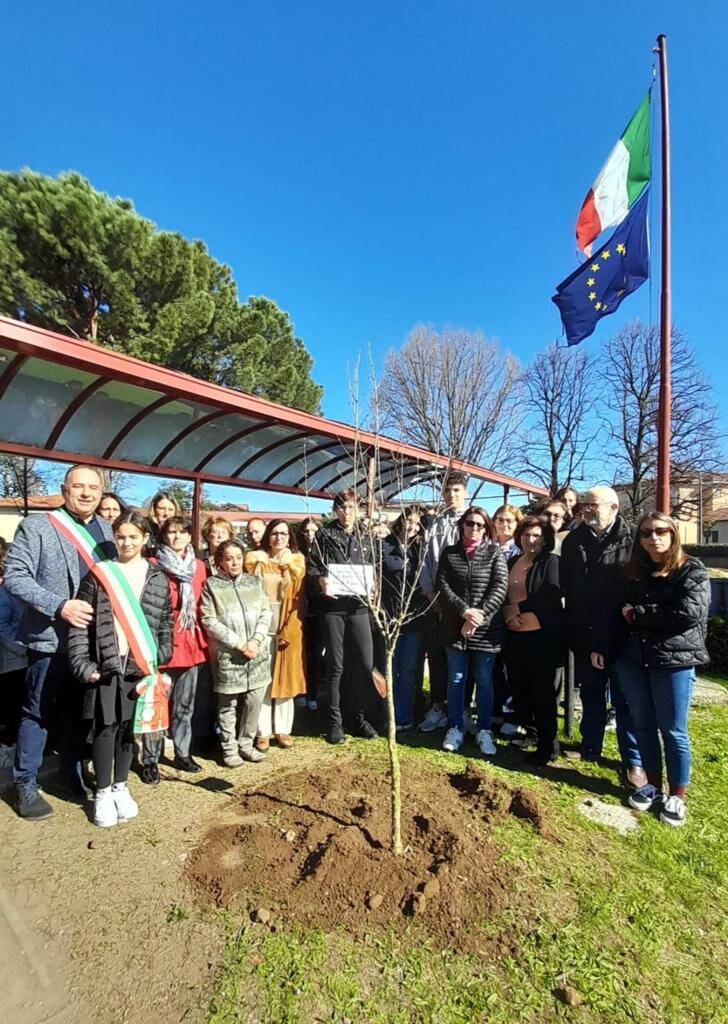 un melograno per la maestra milena