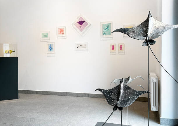 Brian Keith Stephens e Alice Zanin, doppia mostra alla galleria Punto sull’Arte di Varese