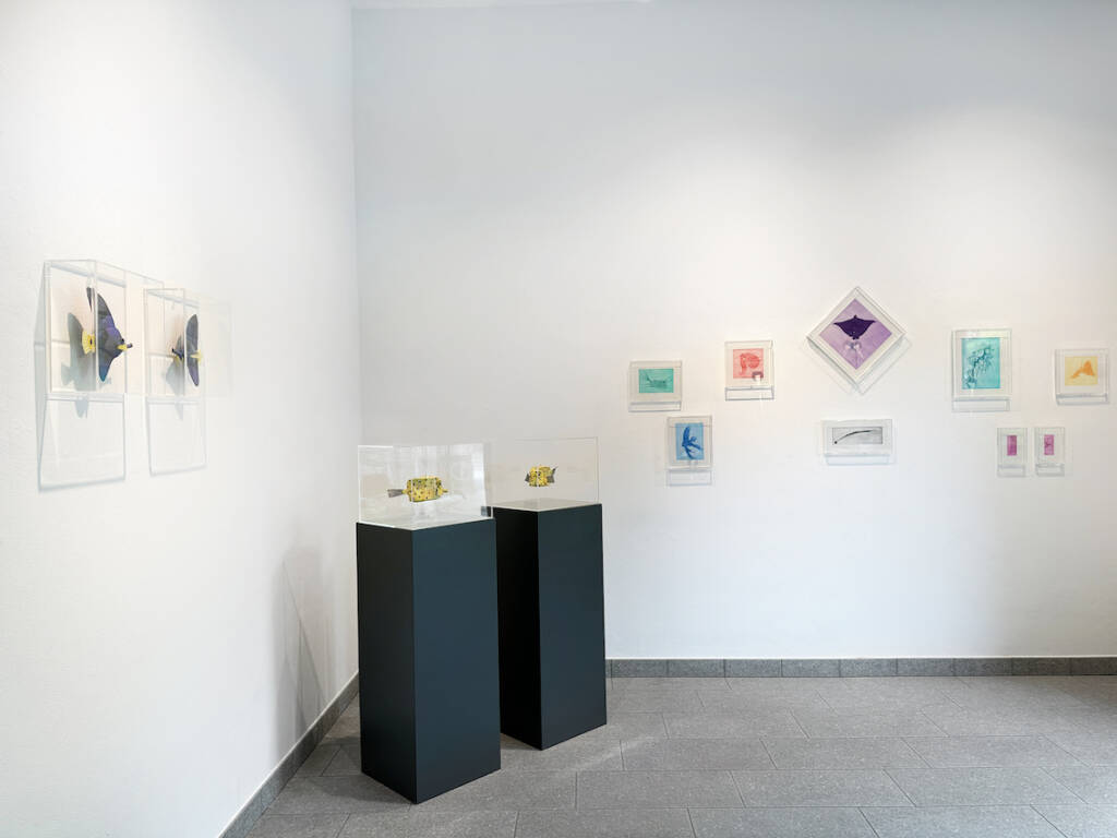  Brian Keith Stephens e Alice Zanin, doppia mostra alla galleria Punto sull’Arte di Varese