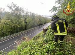 Grosso masso si stacca dalla riva sulla strada di viale Borri