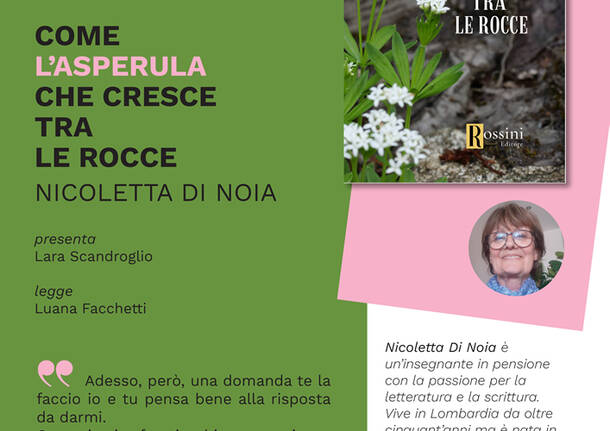 Come l\'asperula che cresce tra le rocce