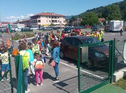La super giornata ecologica di Cocquio Trevisago