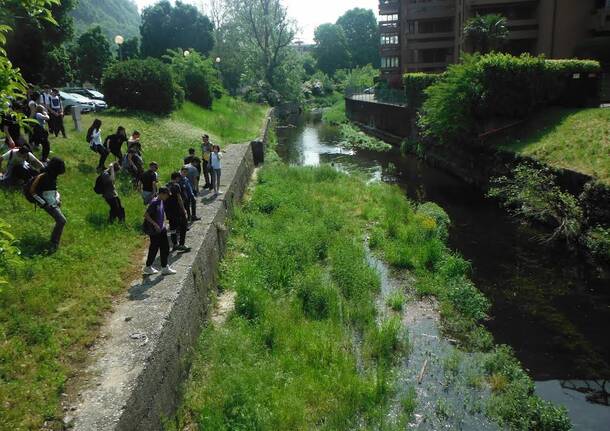 ecologia fluviale liceo sereni laveno mombello