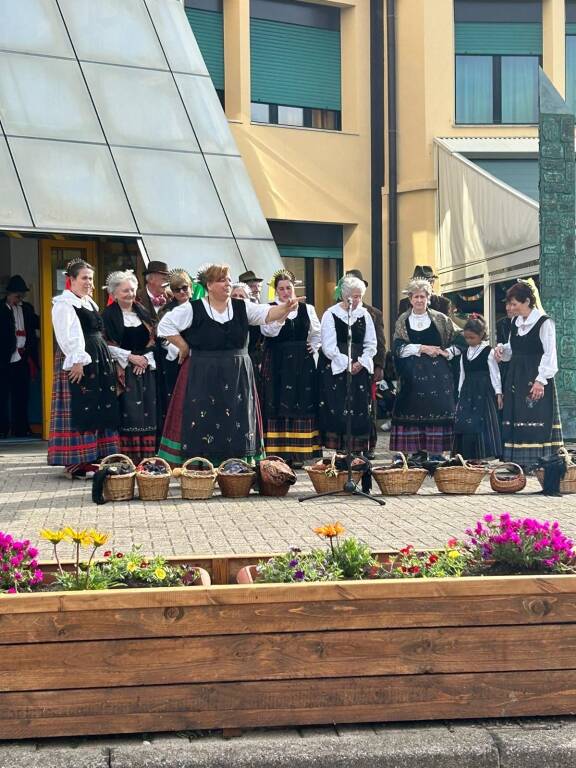 Gallarate Camelot