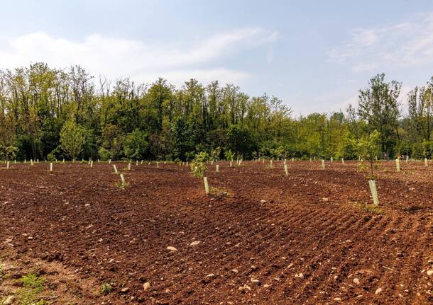 Intitolato a Luciano Garbelli il frutteto didattico realizzato al parco degli Aironi di Gerenzano