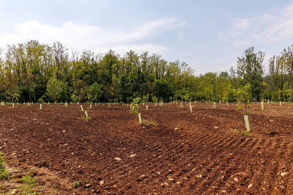 Intitolato a Luciano Garbelli il frutteto didattico realizzato al parco degli Aironi di Gerenzano