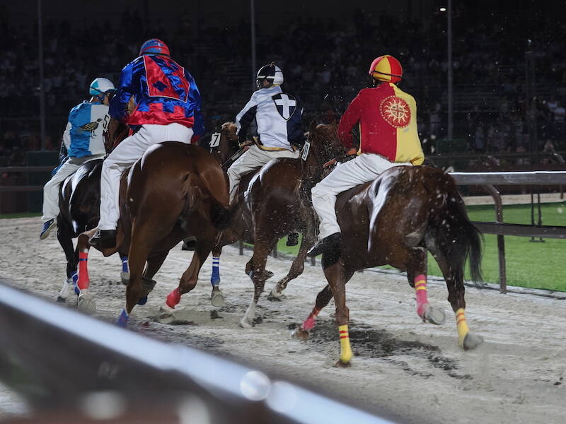 Palio di Legnano 2023, le batterie
