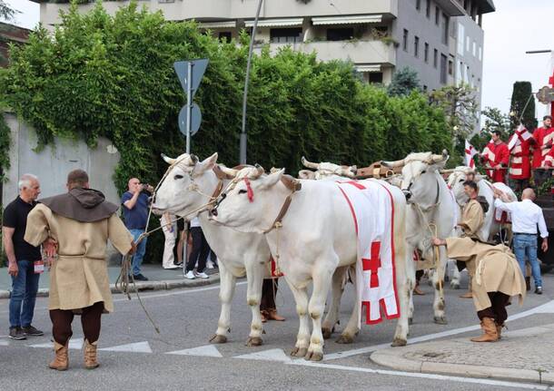 Palio di Legnano 2023: sfilata 