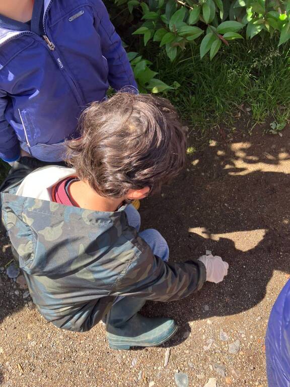 Plogging nel bosco per i bambini dell'asilo di Lissago