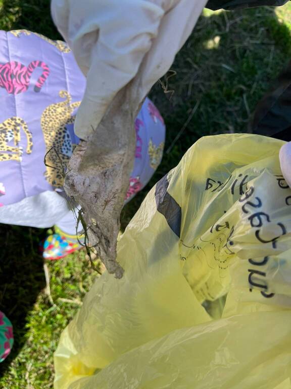 Plogging nel bosco per i bambini dell'asilo di Lissago