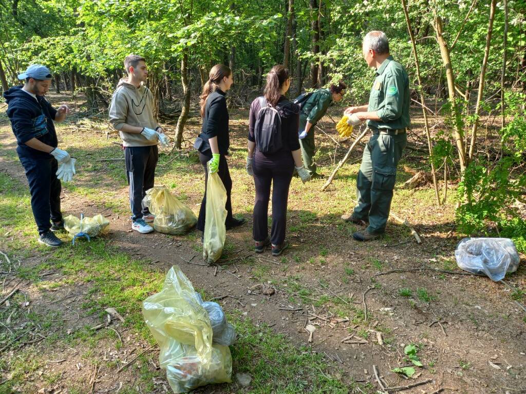 Volontari e associazioni insieme per la pulizia dei boschi di Cislago