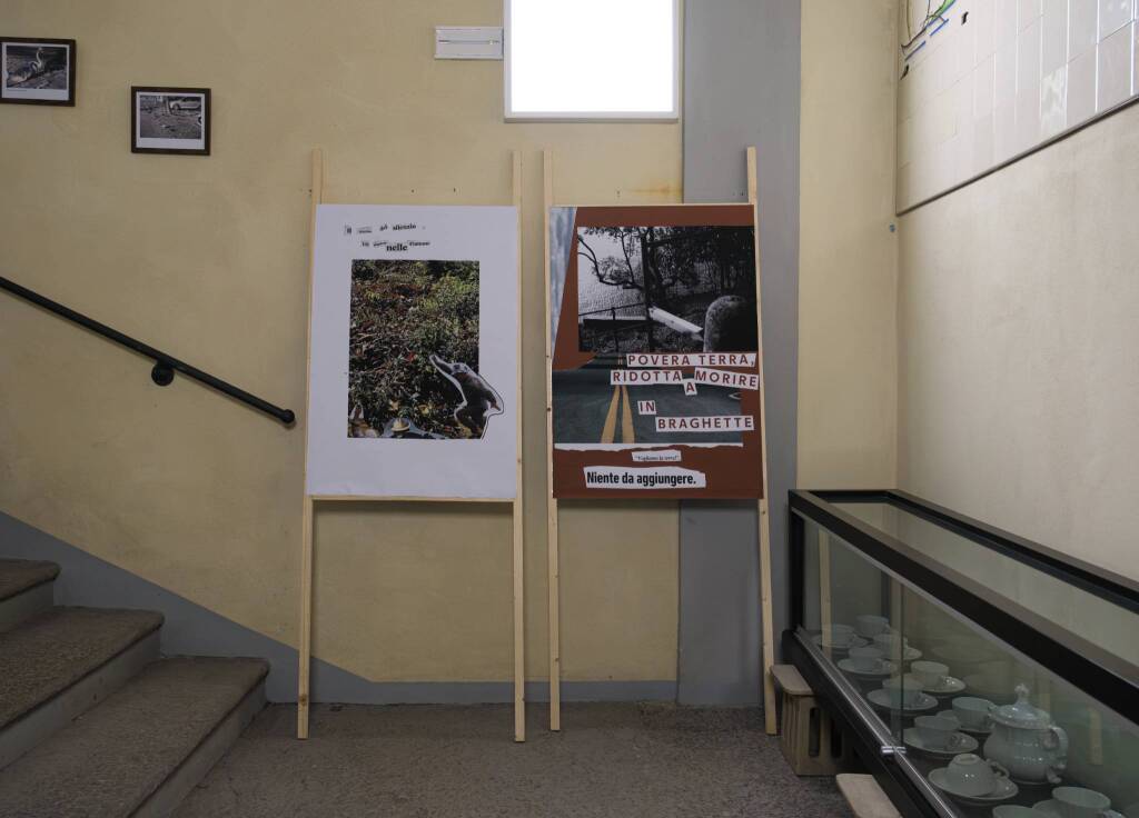 A Laveno Mombello si chiude il progetto Young Laghée