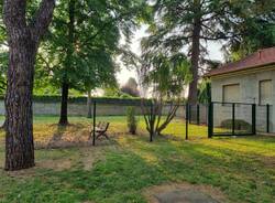 area cani solbiate olona