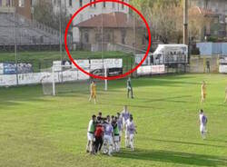 calcio lilla