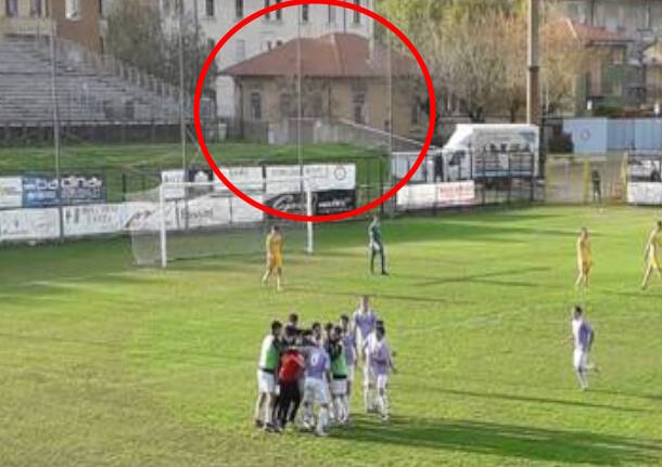 calcio lilla