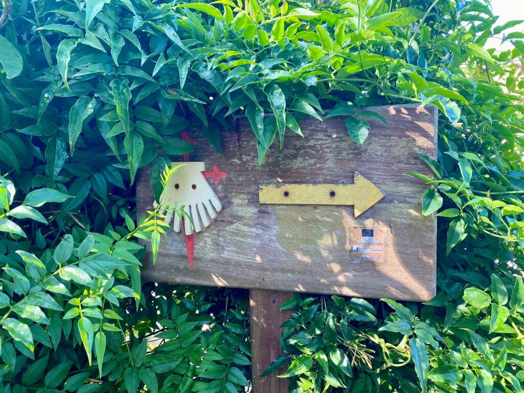 Cammino portoghese 2023: sesto giorno 