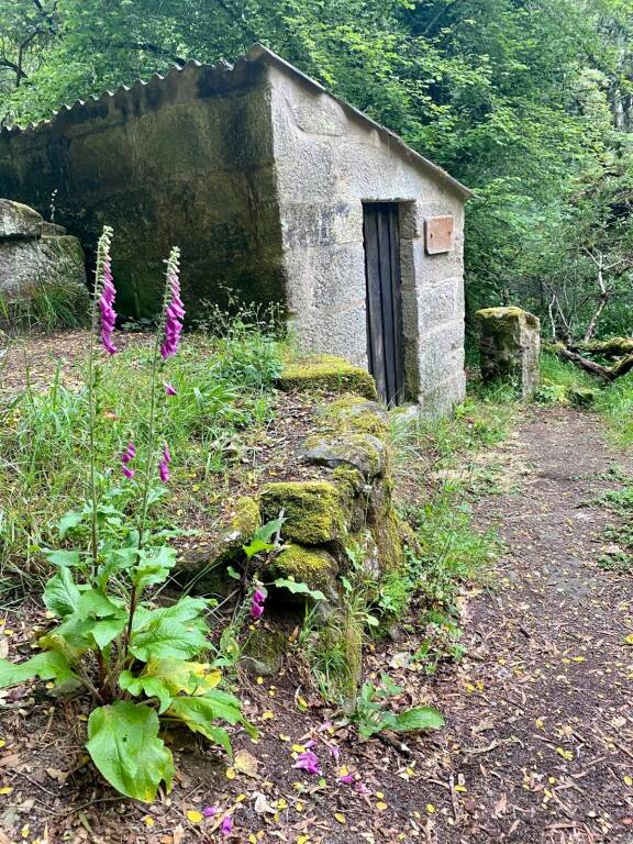 Cammino portoghese 2023: sesto giorno 