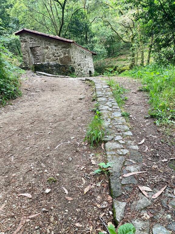 Cammino portoghese 2023: sesto giorno 