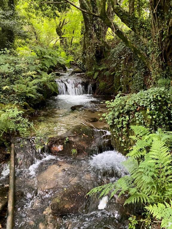 Cammino portoghese 2023: sesto giorno 