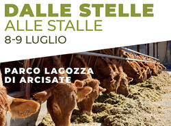 Dalle stelle alle stalle