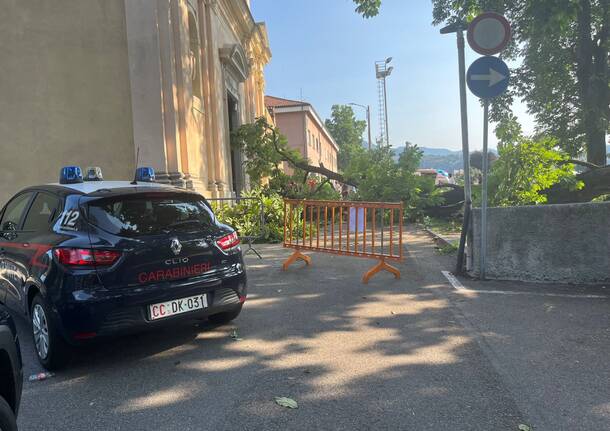 Cade un ramo a Luino, 5 feriti