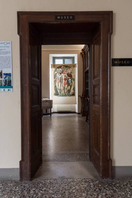 Festival Di-Se Domodossola