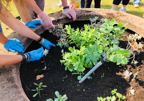 Fiori e verde per la piazzetta Tenconi di Legnano 