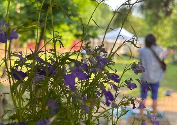 L'8 e il 9 luglio Porte Aperte in Cascina Nazè a Laveno Mombello 