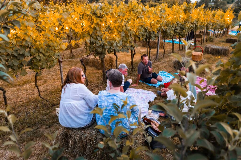 L'Aperi-nic è stato un successo, un serata magica nella vigna del Ronco di Casciago