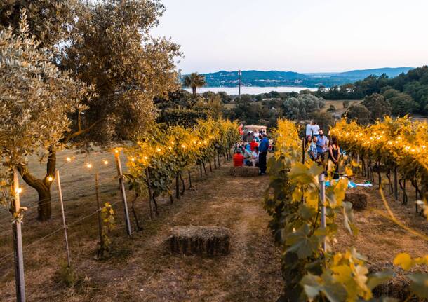 L’Aperi-nic è stato un successo, un serata magica nella vigna del Ronco di Casciago