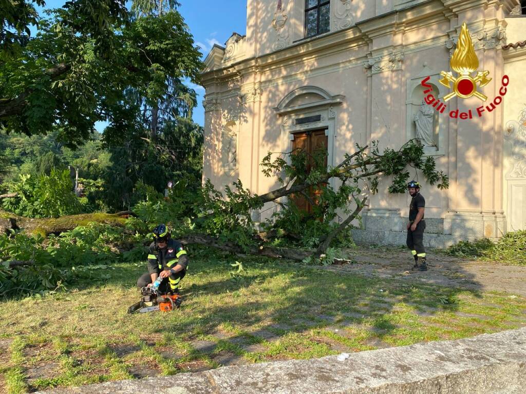 luino caduta ramo