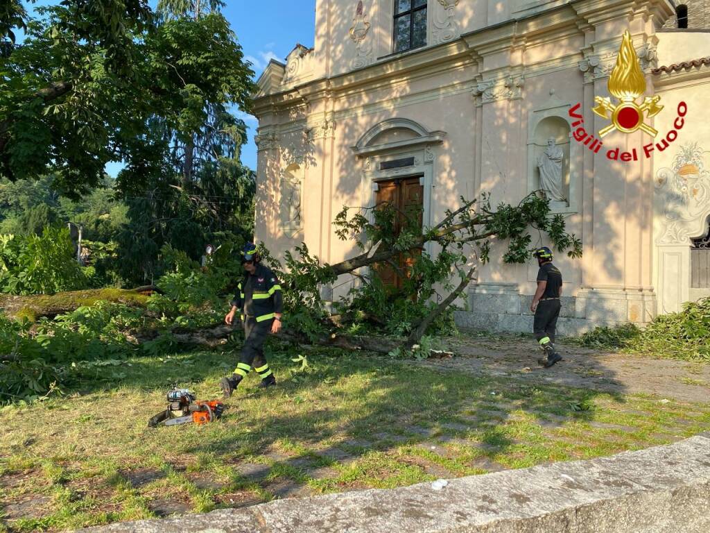 luino caduta ramo