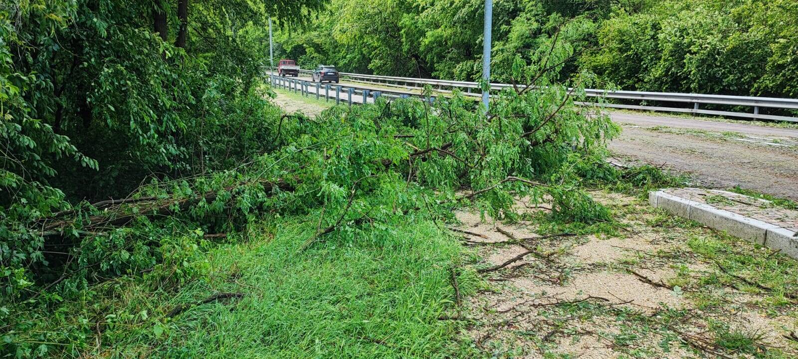 Maltempo 11-12 giugno 2023: la situazione a Mornago