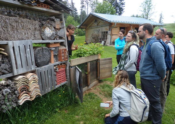 Master fauna primo livello insubria