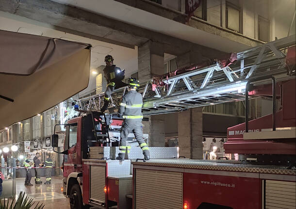 Piccioni in galleria