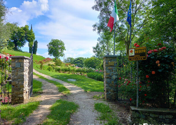 Il roseto del podere Martinello a Vararo