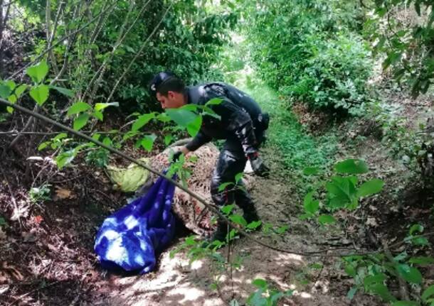 Spaccio nei boschi, quattro bivacchi smantellati a Bregnano