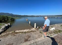 tuffi lago di varese balneabile bodio lomnago giugno 2023
