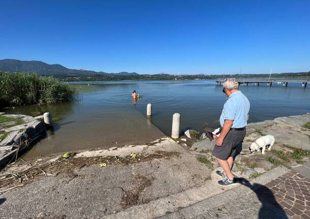 tuffi lago di varese balneabile bodio lomnago giugno 2023